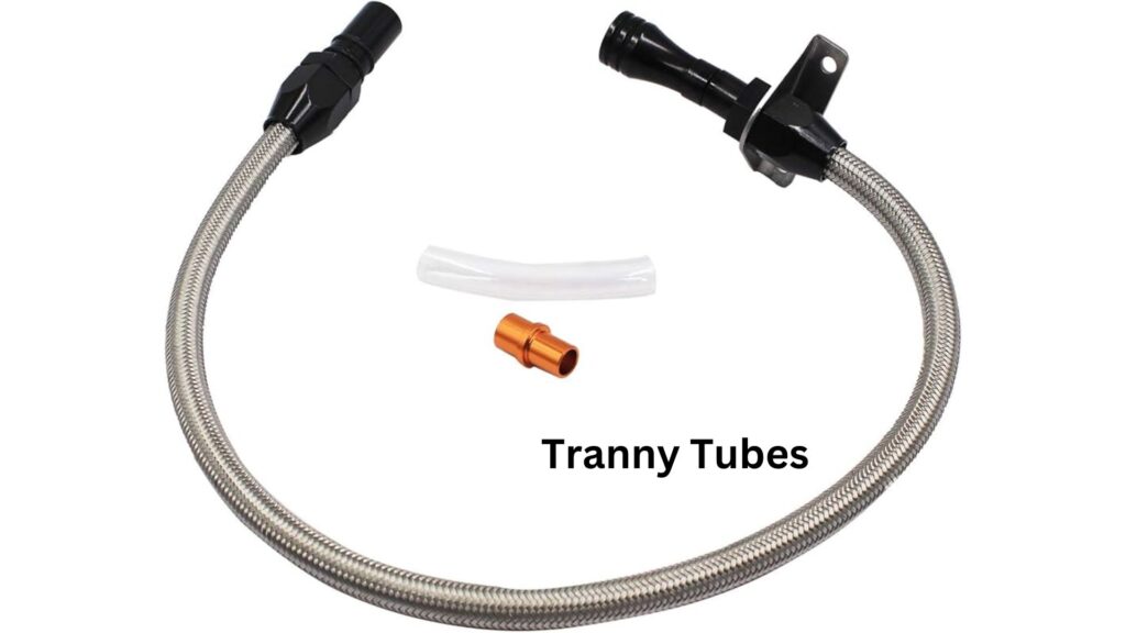 Tranny Tube